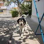 Apartment And Ruza *