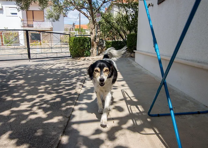 アパート And Ruza